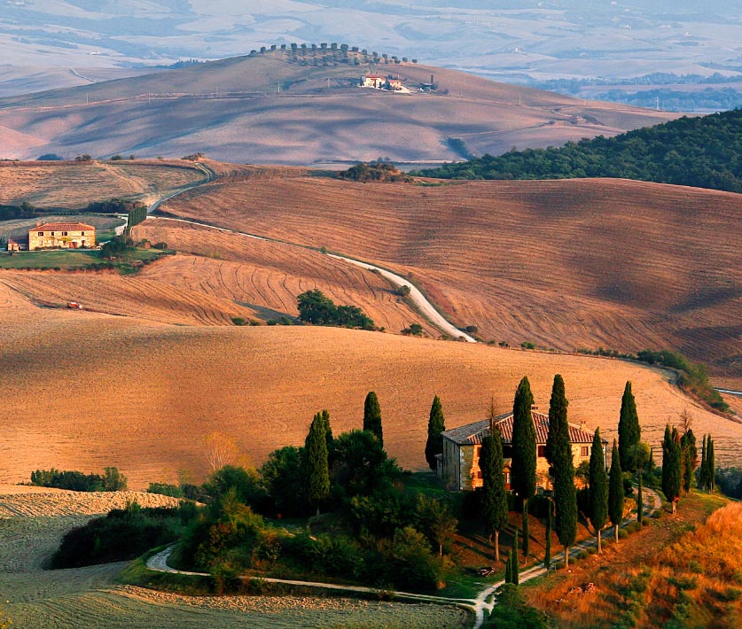 Your Wedding in Chianti